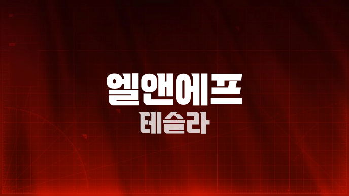엘앤에프 테슬라