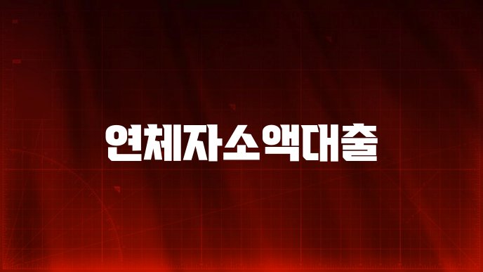 연체자소액대출