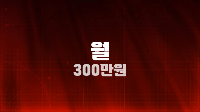 월 300만원