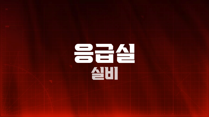 응급실 실비
