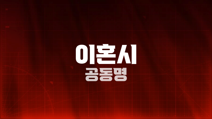 이혼시 공동명
