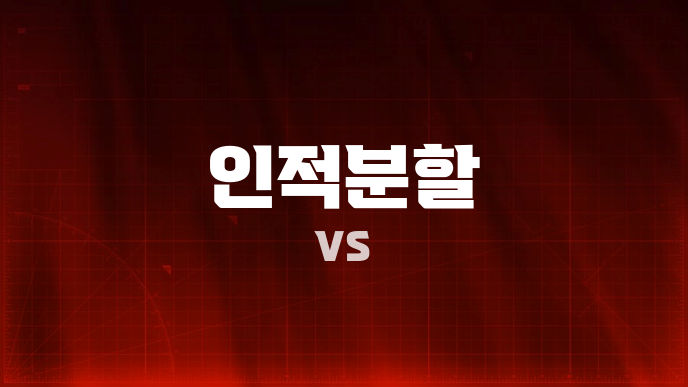 인적분할 vs