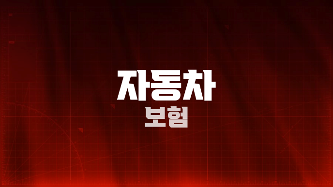 자동차 보험
