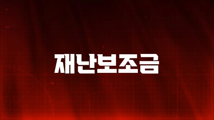 재난보조금