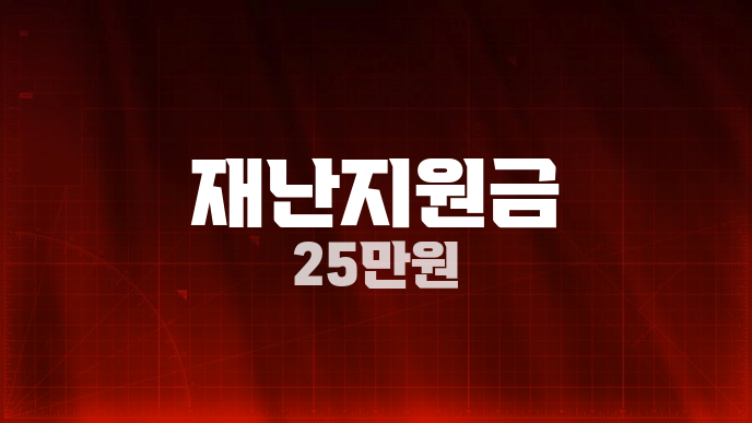 재난지원금 25만원