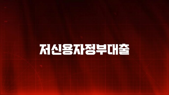 저신용자정부대출
