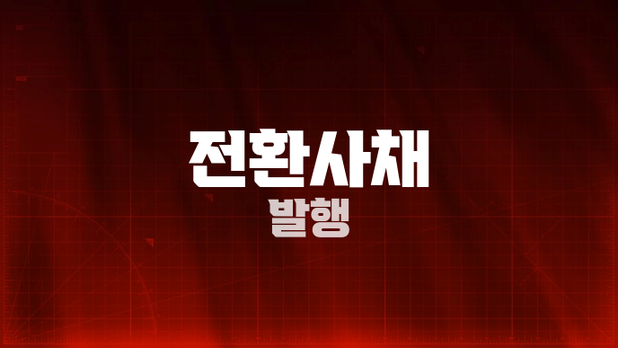 전환사채 발행