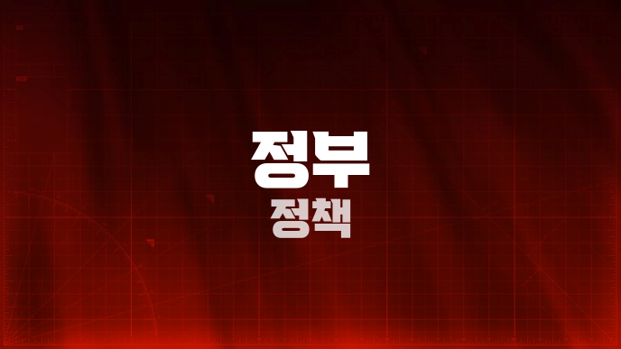 정부 정책
