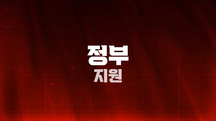 정부 지원
