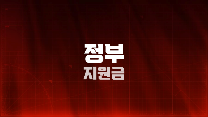 정부 지원금