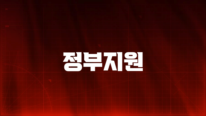 정부지원