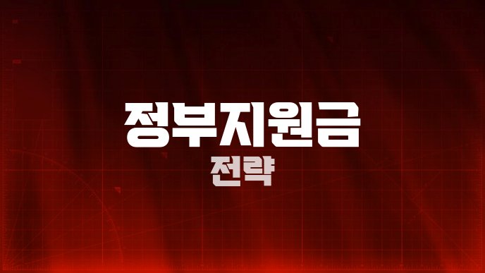 정부지원금 전략