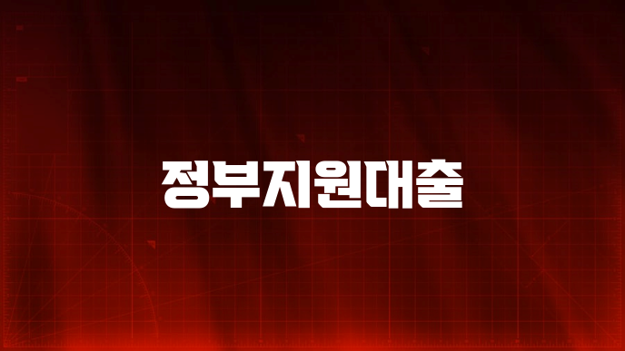 정부지원대출