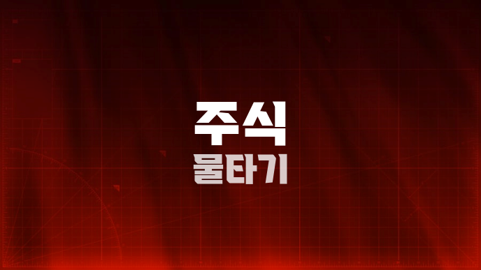 주식 물타기