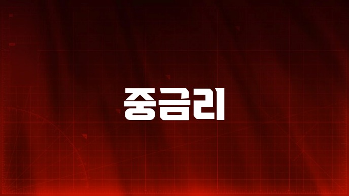 중금리