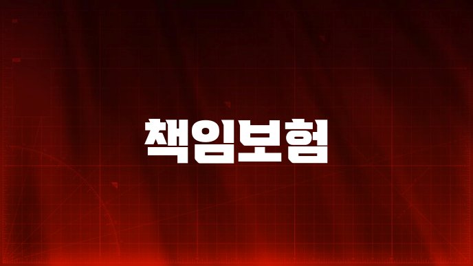 책임보험