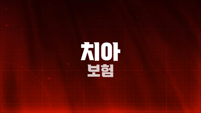 치아 보험