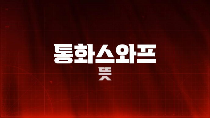 통화스와프 뜻