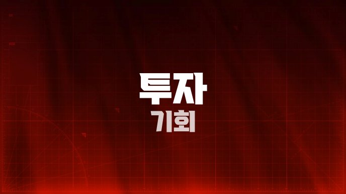투자 기회