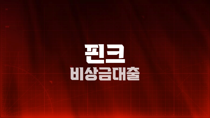 핀크 비상금대출