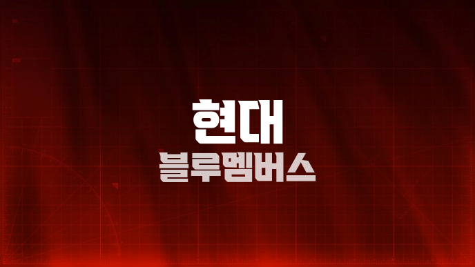 현대 블루멤버스