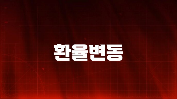 환율변동